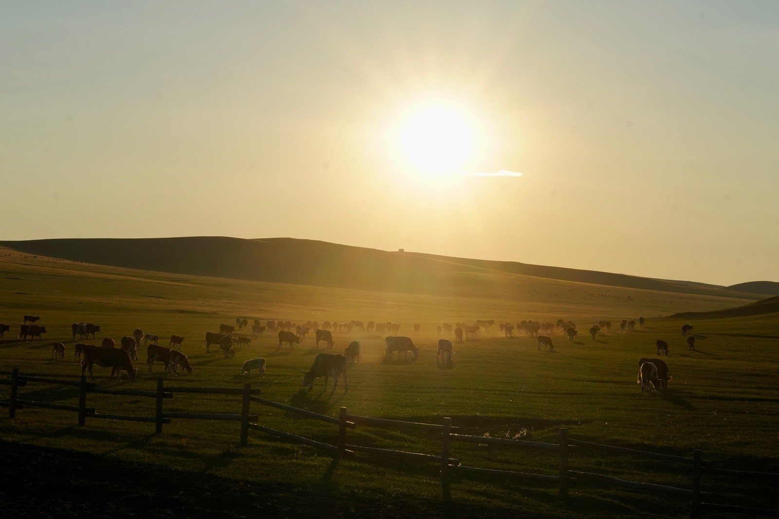 The sun above rolling grasslands.